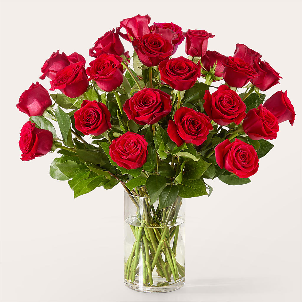 The One Red Rose Bouquet –  Babes Floral Design Llc, Old Fort NC