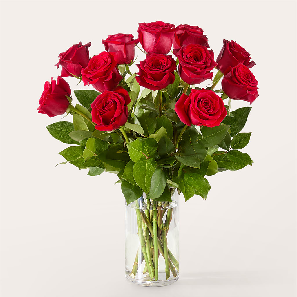 The One Red Rose Bouquet –  Babes Floral Design Llc, Old Fort NC