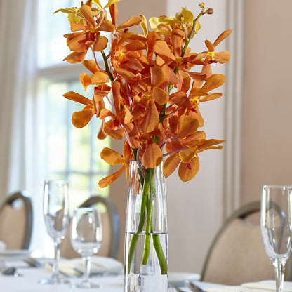 Orange Mokara Bud Vase –  Babes Floral Design Llc, Old Fort NC