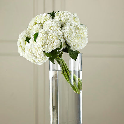 White Hydrangea Hand-Tied Bouquet –  Babes Floral Design Llc, Old Fort NC