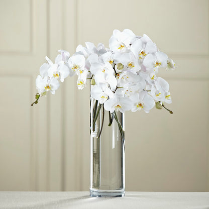 White Phalaenopsis Bouquet –  Babes Floral Design Llc, Old Fort NC