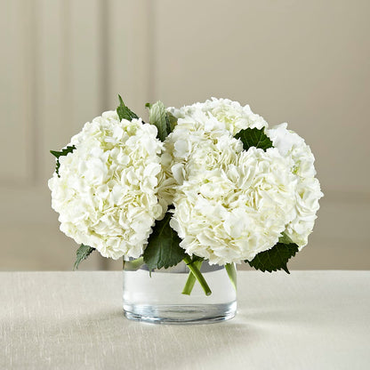 White Hydrangea Bouquet –  Babes Floral Design Llc, Old Fort NC